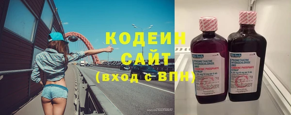 молекула духа Краснослободск