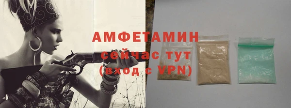 молекула духа Краснослободск