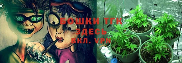 молекула духа Краснослободск