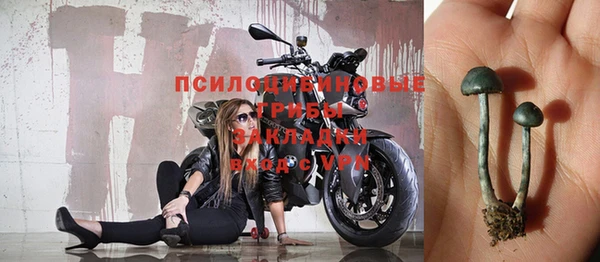 молекула духа Краснослободск
