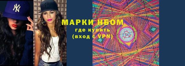 молекула духа Краснослободск