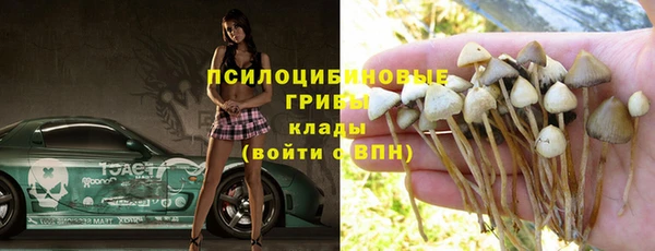 молекула духа Краснослободск