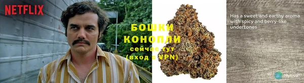 молекула духа Краснослободск