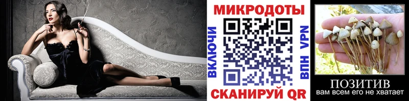 Галлюциногенные грибы прущие грибы сколько стоит Чухлома